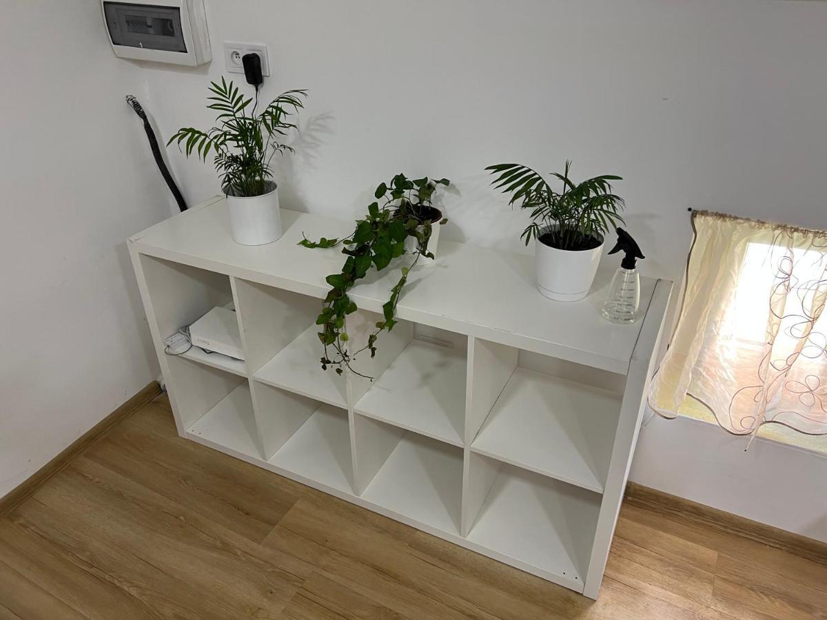 Green Apartment - Free Parking Katowice Zewnętrze zdjęcie