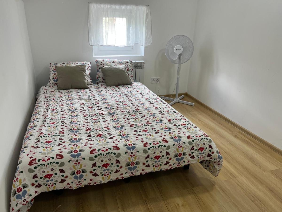 Green Apartment - Free Parking Katowice Zewnętrze zdjęcie